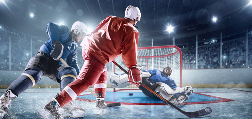 30 интересных фактов о хоккее с шайбой